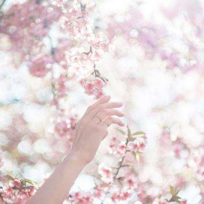 ob体育最新官网手机app下载